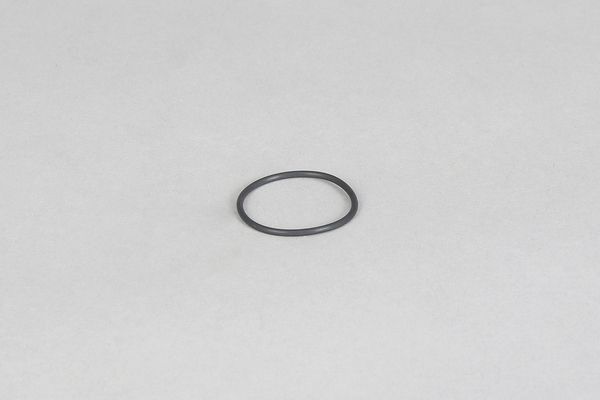 500-01-976_O-Ring.jpg